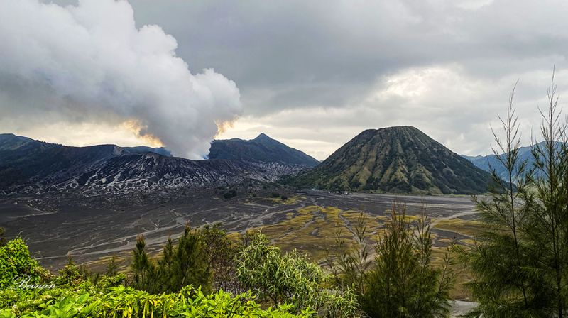 [A panoramic view of the Mount Bromo caldera across the 'Sea of Sand', an essential part of any East Java travel guide.]